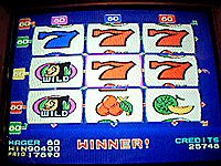 Video Slot Game